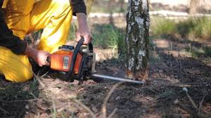 Best Lawn Renovation and Restoration  in Monroe, WI