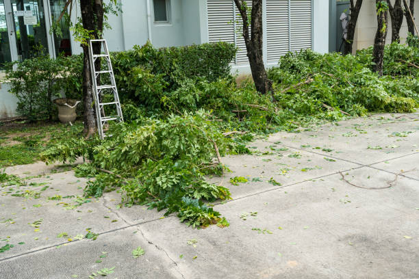 Best Lawn Watering Services  in Monroe, WI